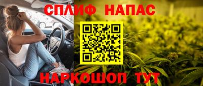 прущие грибы Ирбит
